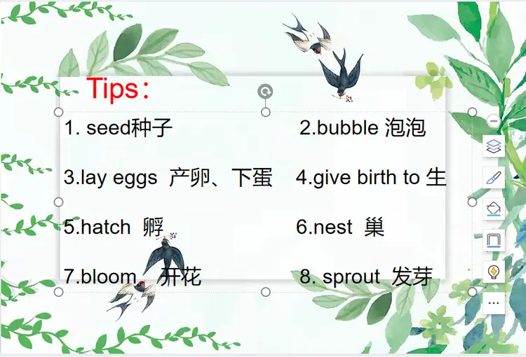 new leaves.小树发芽。嫩叶生长。grass grows. it turns green.小草生长。翠绿欲滴。
