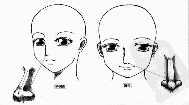 超强干货人体头部及五官画法大全从0开始全方位解析脸部及眼睛嘴巴
