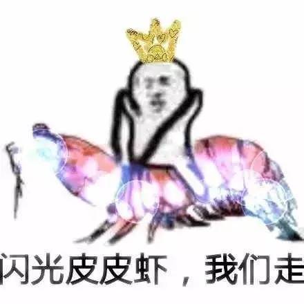 皮皮虾表情包