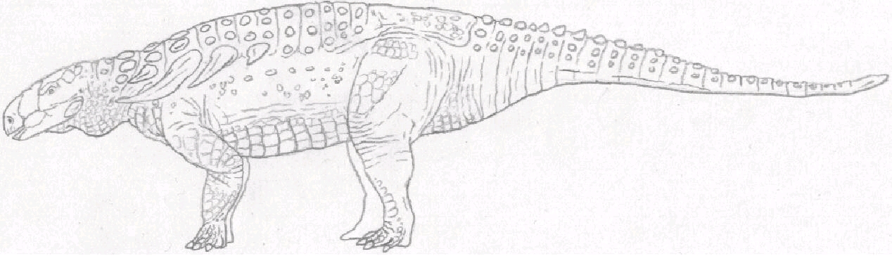 雕齿甲龙,生存于美国的白杨山组的结节龙科物种,体长可达5—6m.