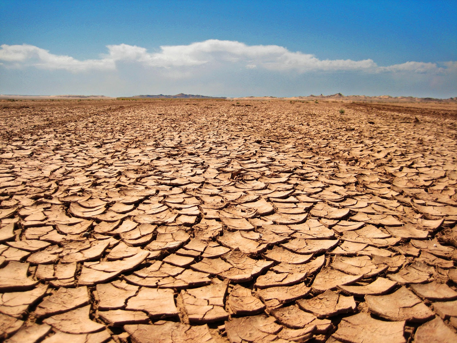 干旱季节,如何熬过食物困乏,是项艰巨挑战
