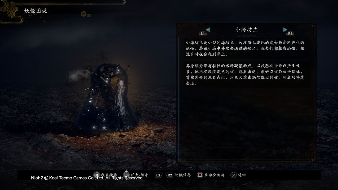 小海坊主