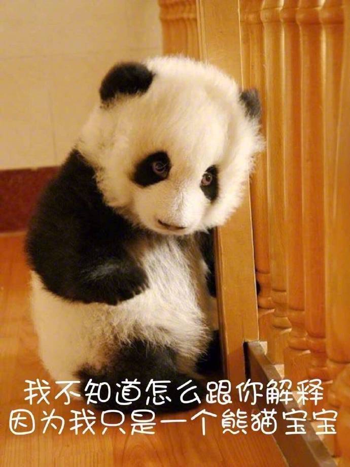 【表情包】可爱的熊猫表情包!(第二期)
