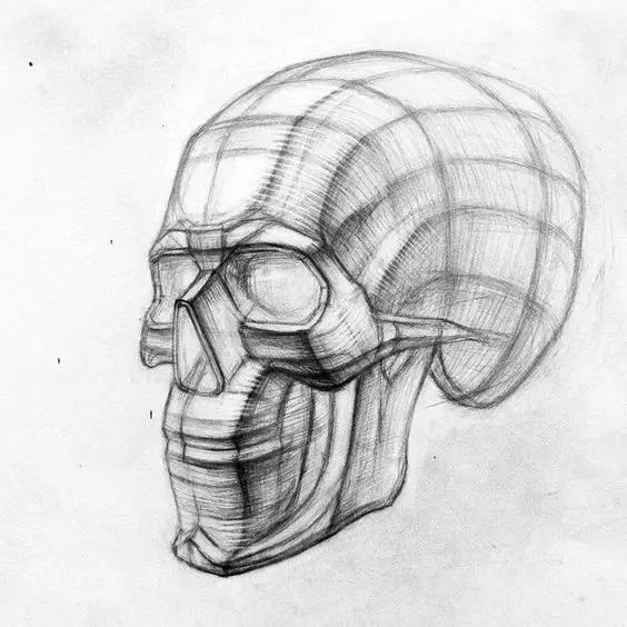 图解素描几何体,头像,五官的透视,明暗,适合教学和零基础临摹