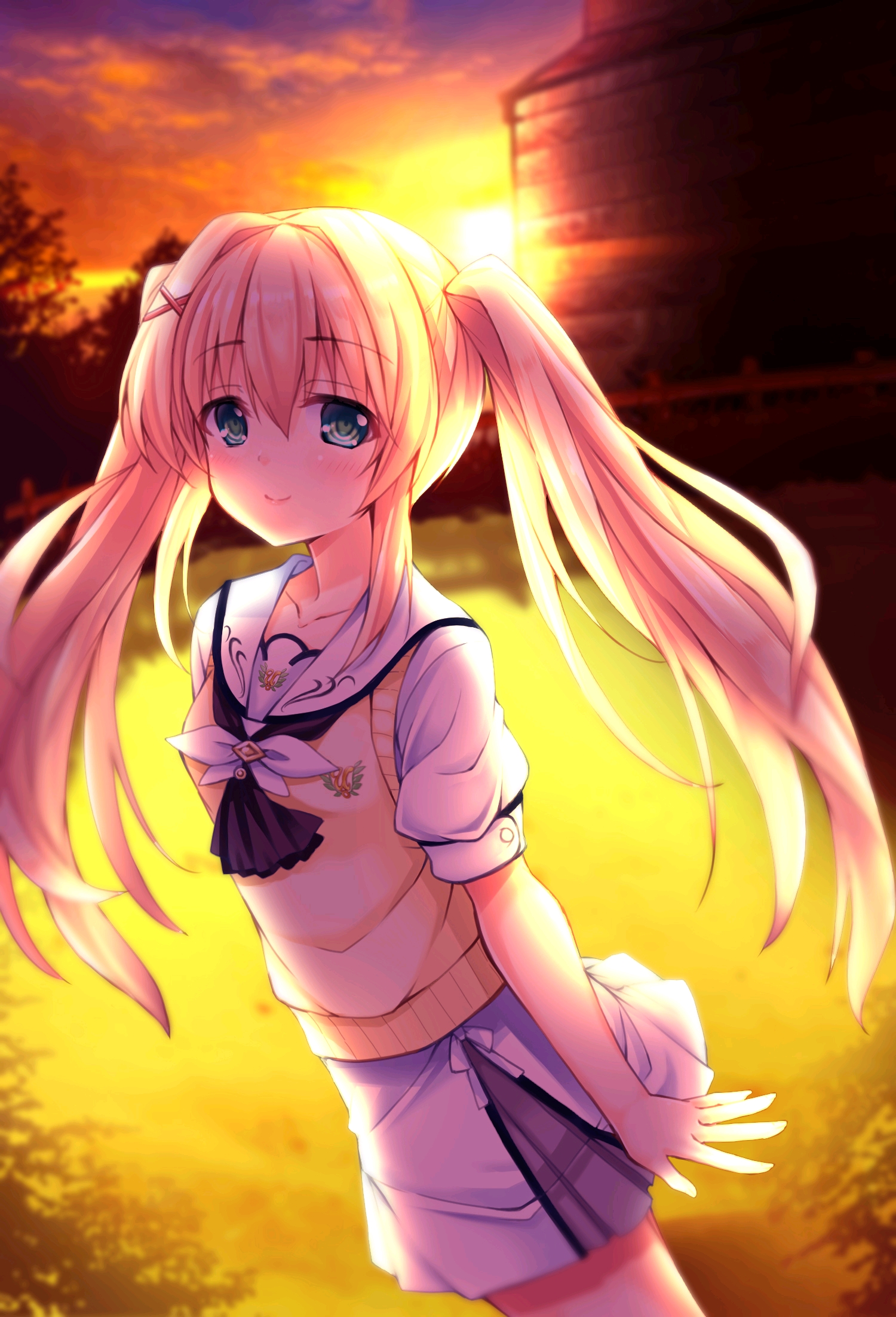 夏日口袋的细