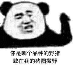 表情包——金馆长熊猫头11