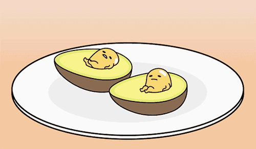 500_292gif 动态图 动图