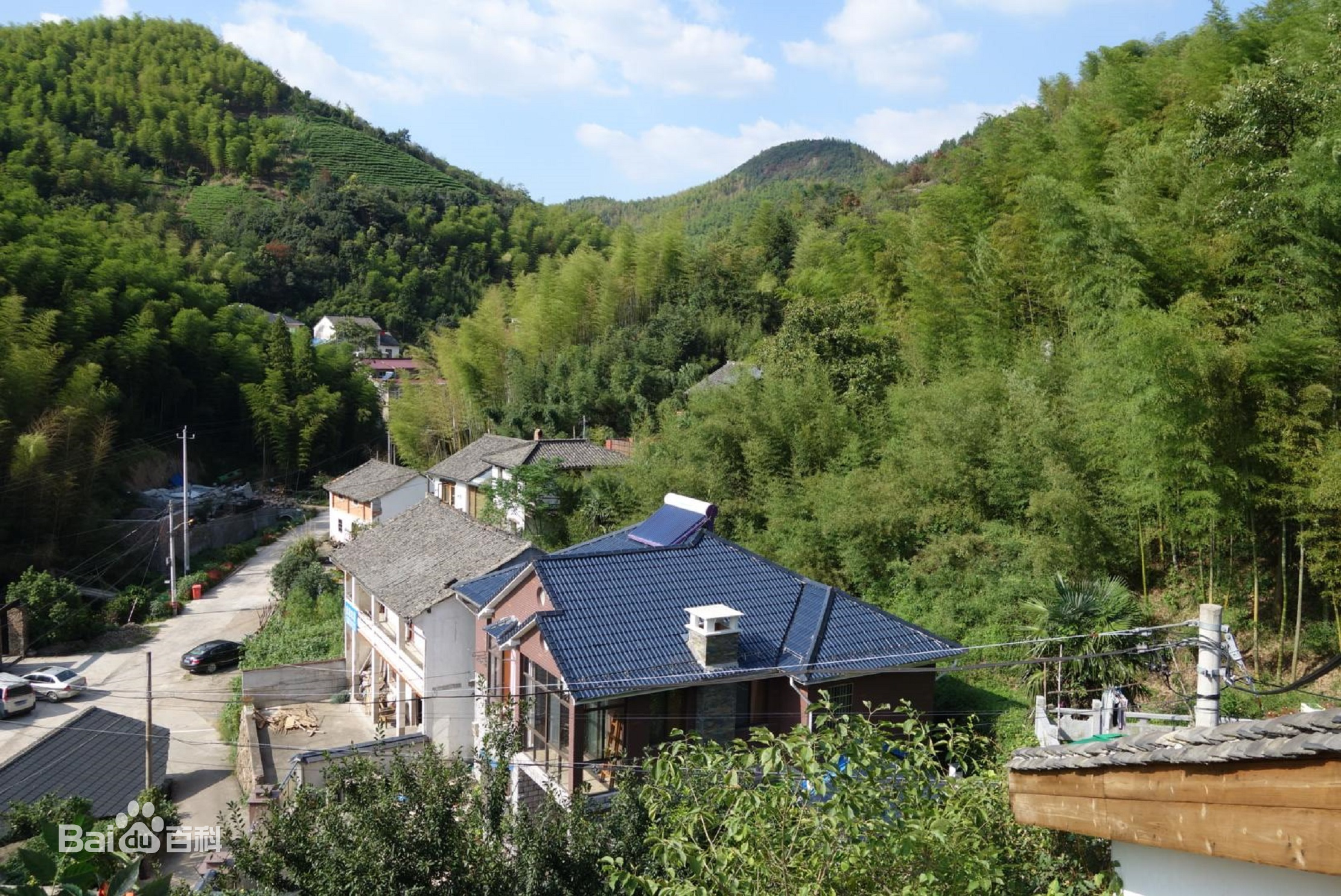 莫干山 风景图