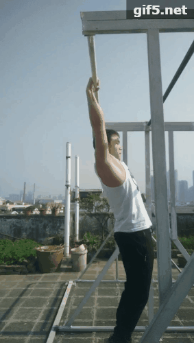 十二fitness双力臂教学