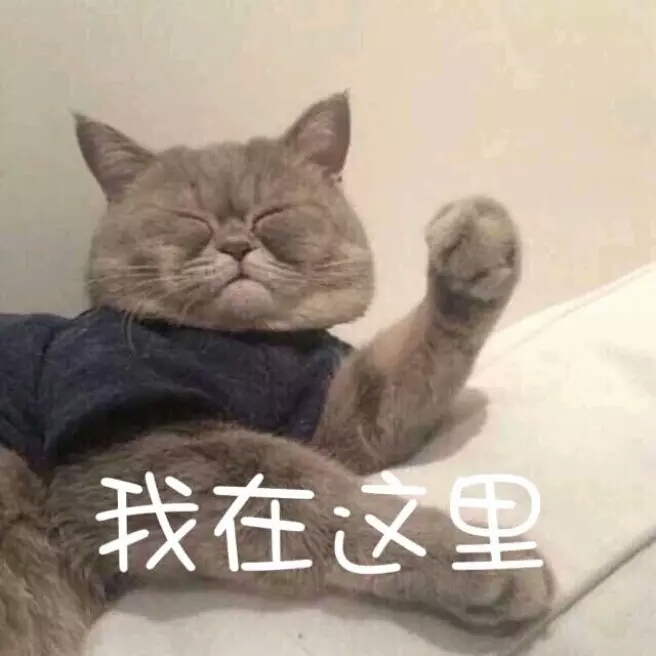 而发愁, 想直接收图的小可爱不用看这些了哦√("