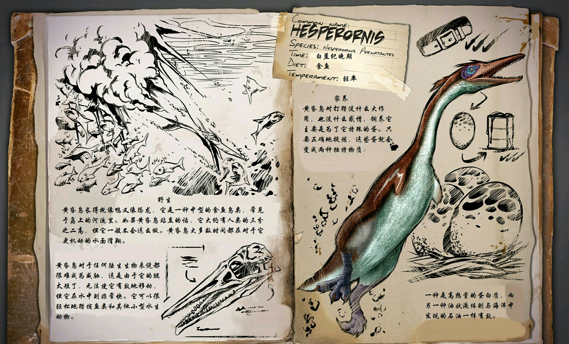 方舟:生存进化全生物图鉴合集(孤岛篇)