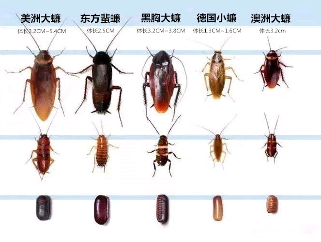 963850e9d9ed73a16327d871d665598ae0858e01.jpg