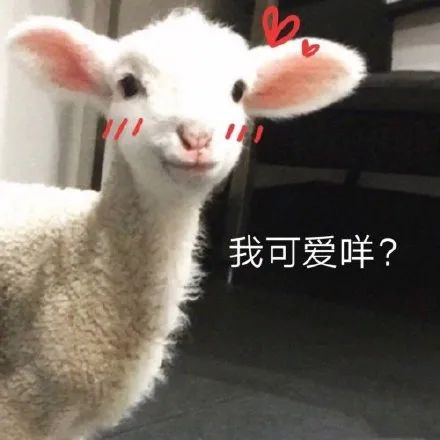 表情包小羊系列