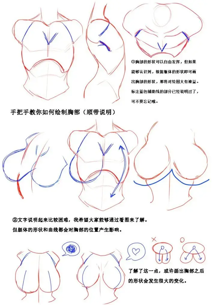 【板绘教程】流畅又唯美的胸部线条怎么画 哔哩哔哩