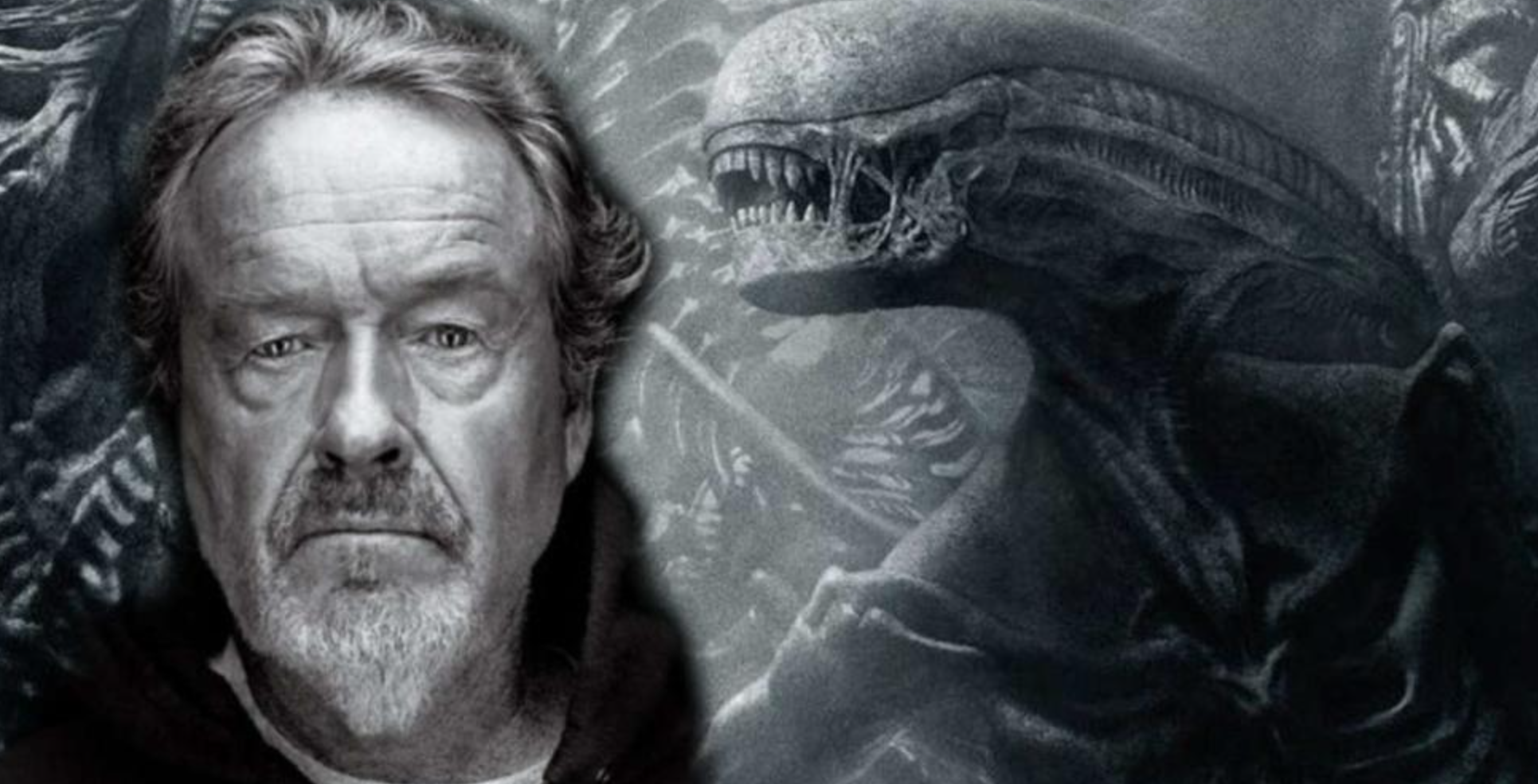 电影推荐2024已上映电影 9715e3a029be87775a2d2635c40ee82e8f5c8abb.png