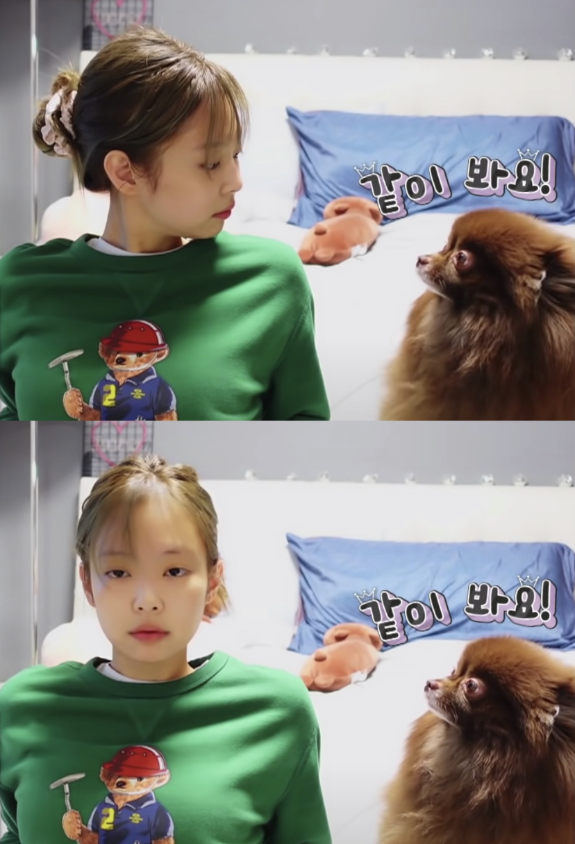 此外,jennie的爱犬kuma也有短暂出镜!