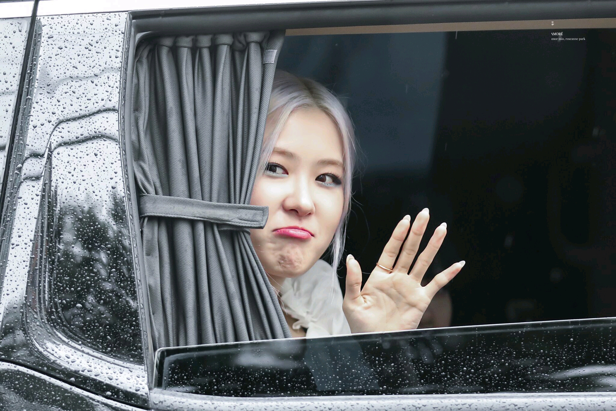 blackpink肉肉壁纸,blackpink肉肉头像 7.12blackpink,rosie,肉肉,玫瑰,rose,朴彩英