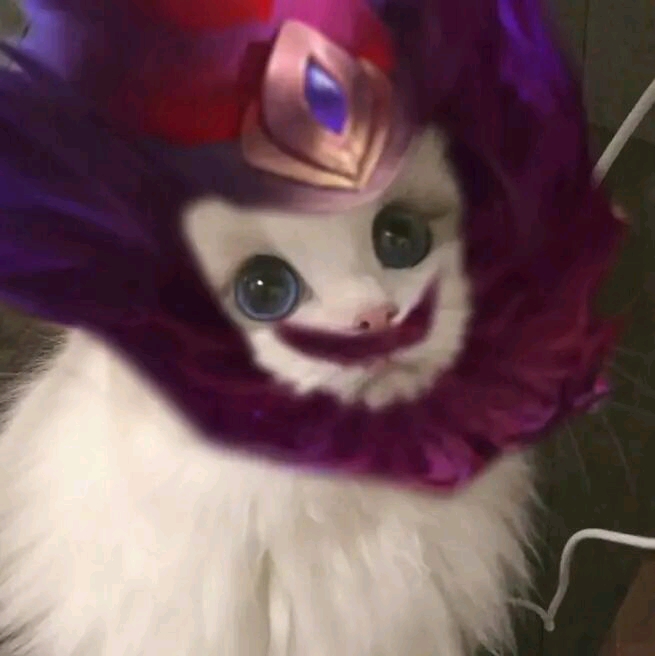 王者荣耀猫猫头像图