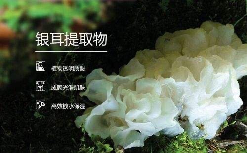 皮肤也能喝银耳汤,还怕没有好皮肤吗?