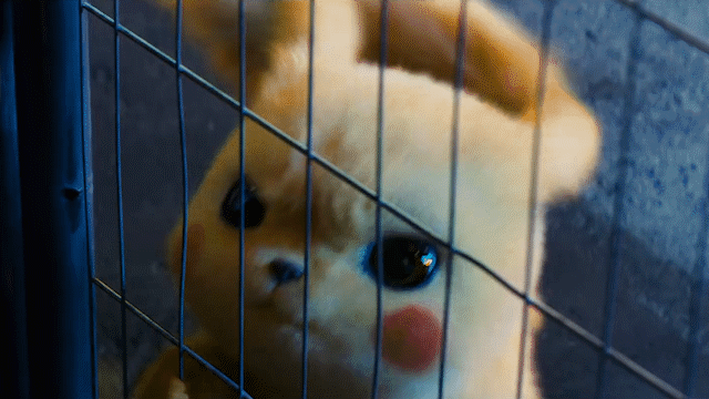 640_360 gif 动态图 动图