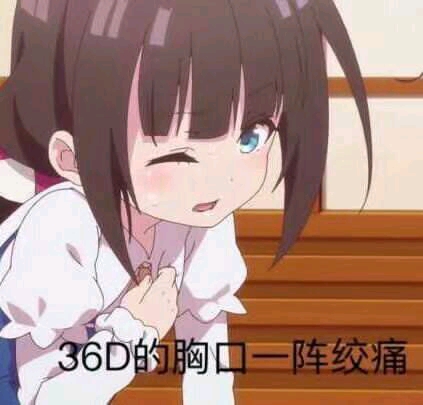 二次元表情包/沙雕图(9)