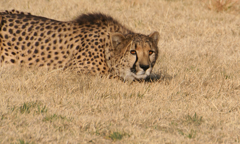 98ab7209f5a926903f246c0f819503550aec57da.png