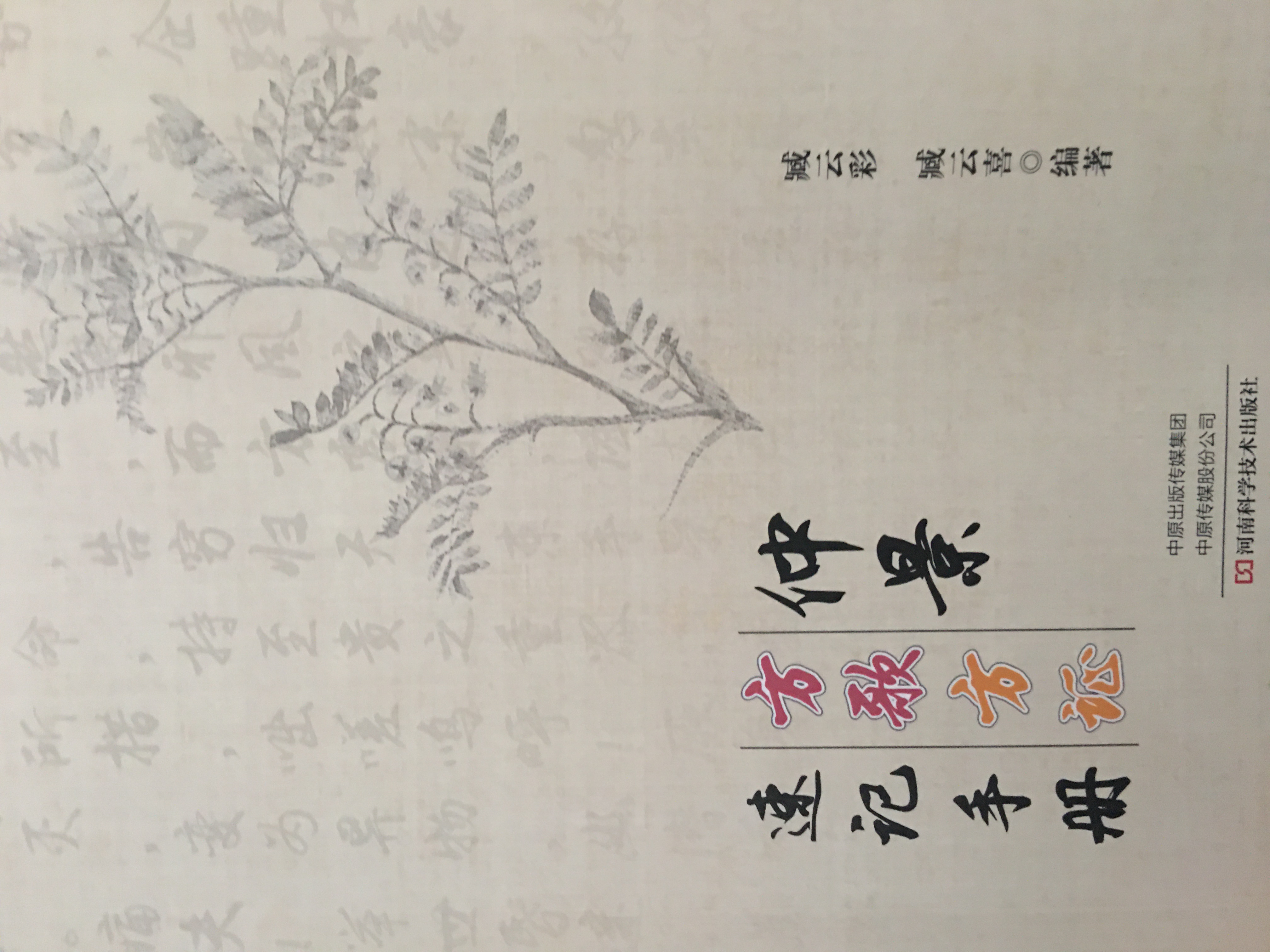 仲景方歌方证速记手册（臧云彩、臧云喜著）