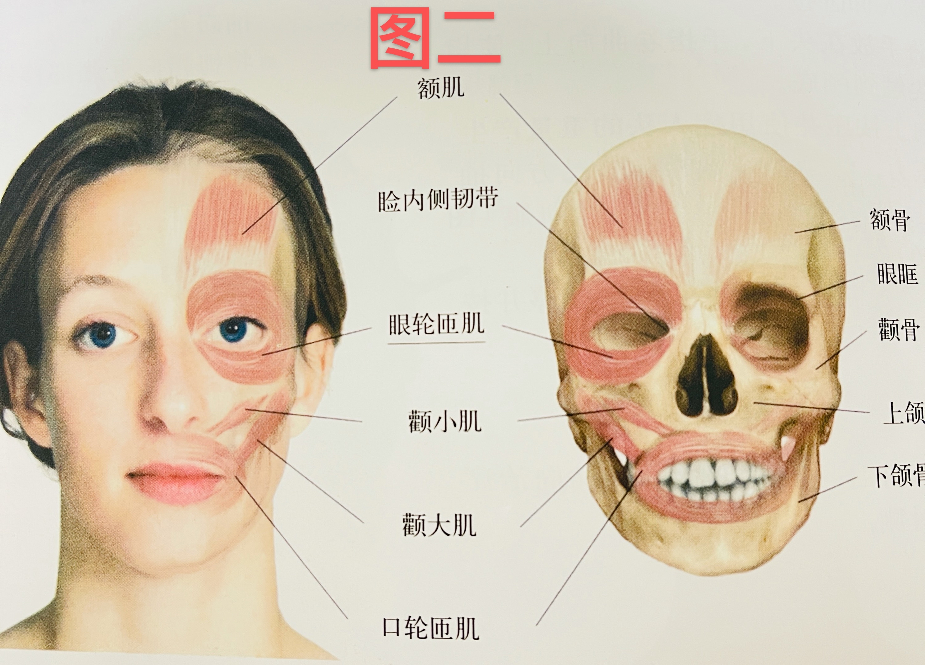 98cea231aac07f293fe0ab99884fe7e4e980d9bc.jpg
