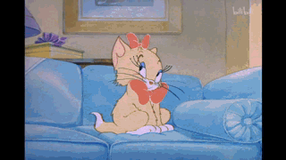 哈哈哈哈哈哈哈哈哈哈哈哈哈哈哈哈 up后                    老鼠的