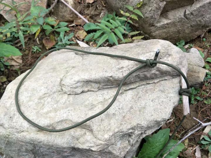 一学就会这个简易的原始陷阱小到斑鸠大到野猪统统能捕获