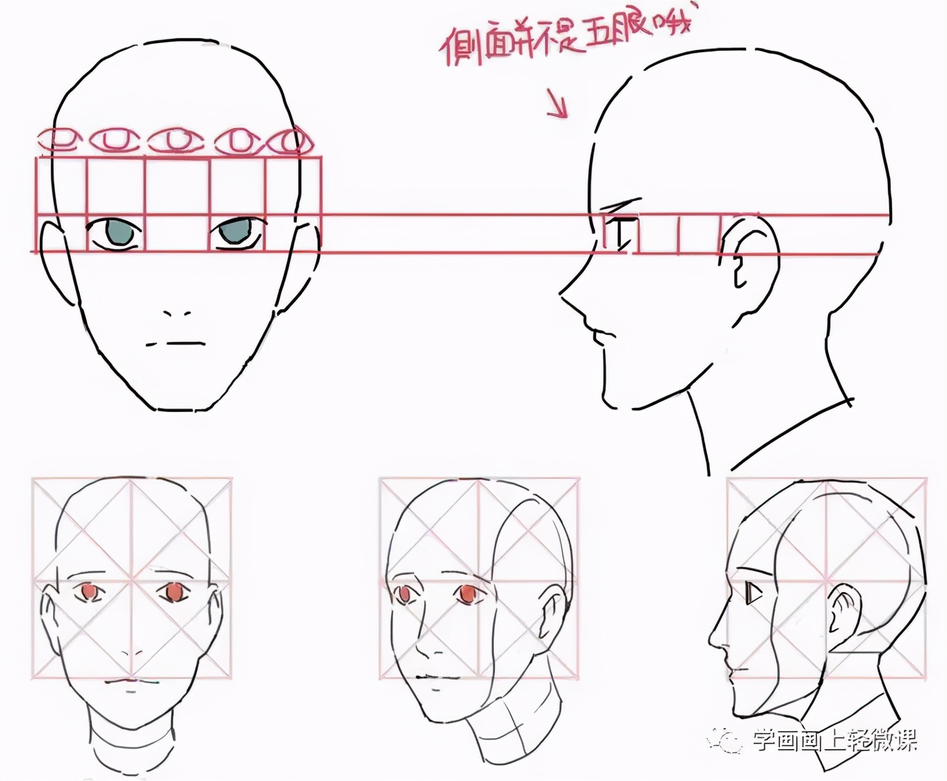 怎么画好人物的头部?人物头部的绘画教程