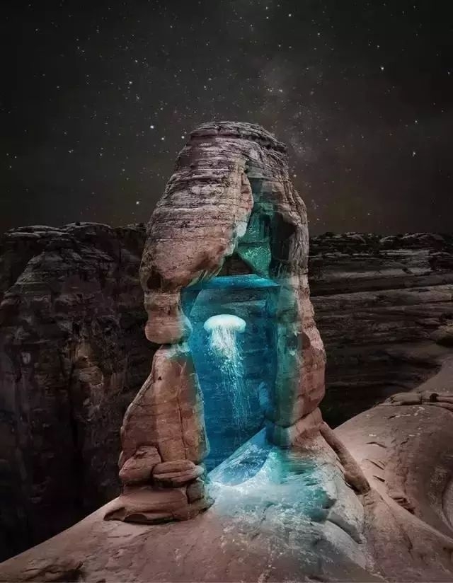 传送门要传送个水母过来