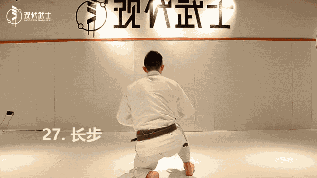 巴西柔术基本功36式gif