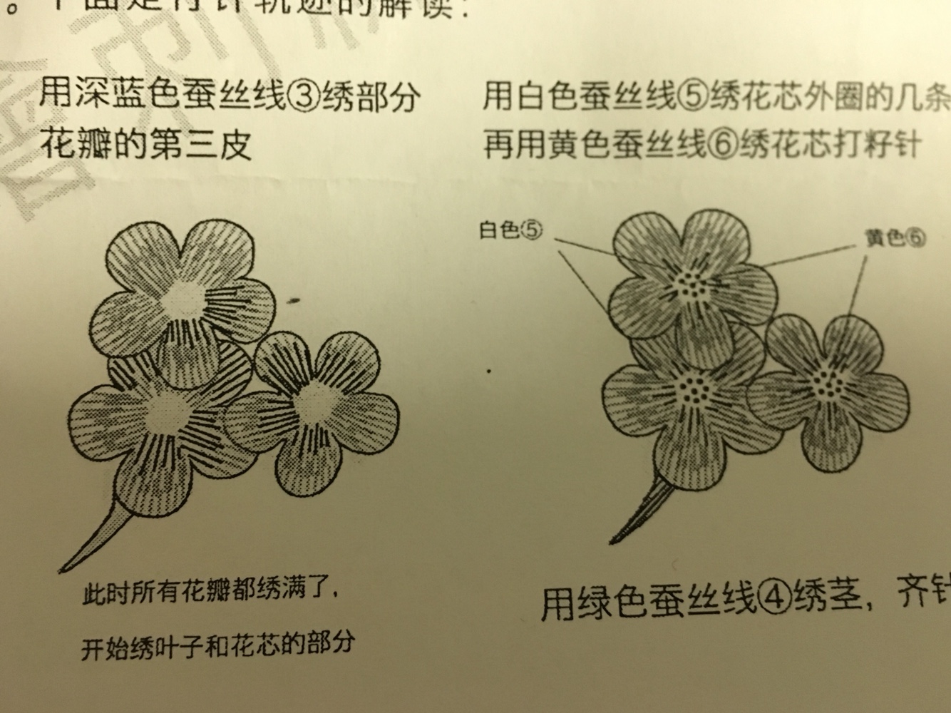 花瓣第三皮 花梗 花蕊