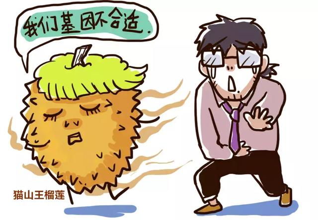为什么有的人会觉得榴莲特别臭?