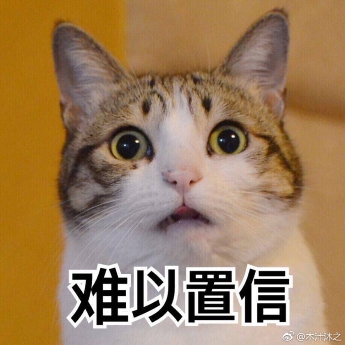 猫咪看了会沉默主人看了会流泪,巧妙的喂药方法