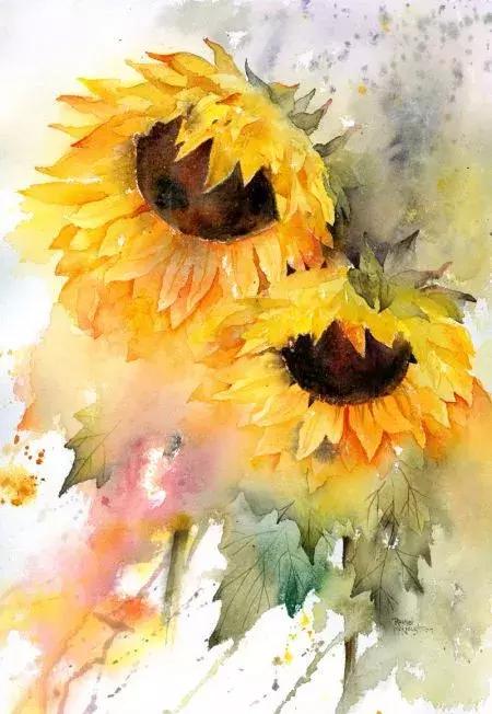 水彩画的向日葵,像阳光一样灿烂温暖!