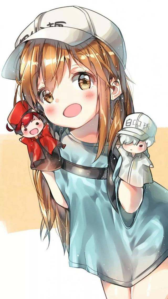 工作细胞(血小板)