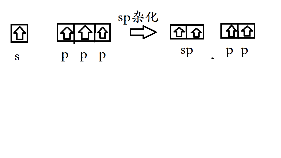 sp杂化