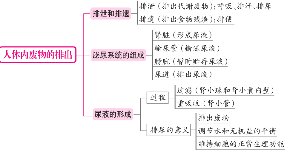 大师一百 | 初中生物:超全整理各章节概念图,提分就用