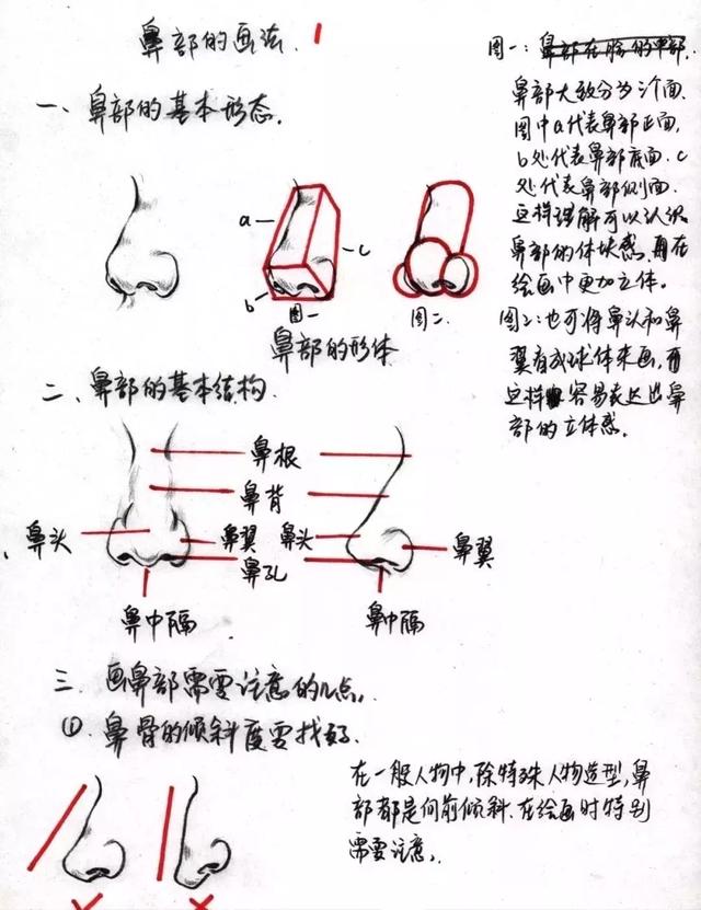 速写干货速写局部素材讲解分析