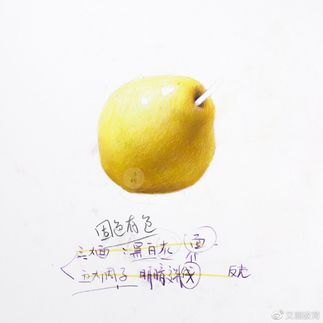 彩铅零基础绘画教程 | 梨子