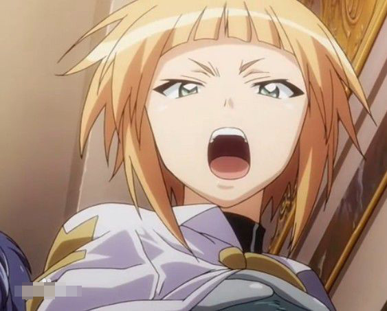 阿尼埃斯·修巴利耶·d·米兰《零之使魔》