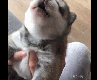 猛男色才是2020年最新流行色