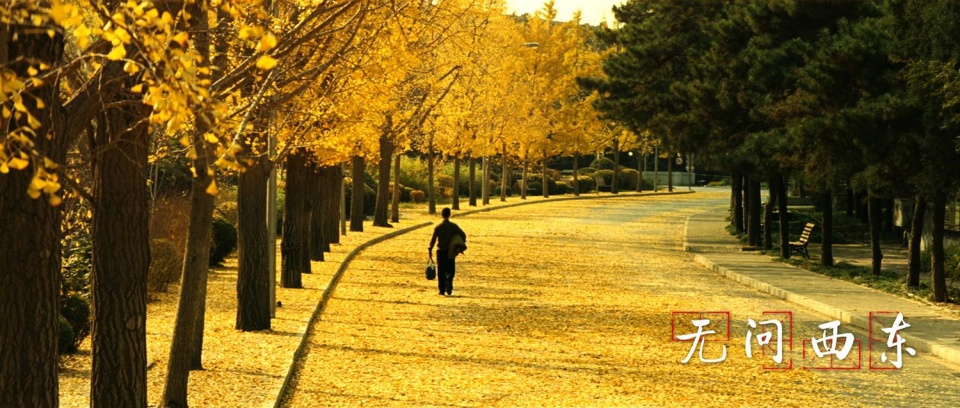 时隔七年 清华校庆电影《无问西东》定档2018开年巨献