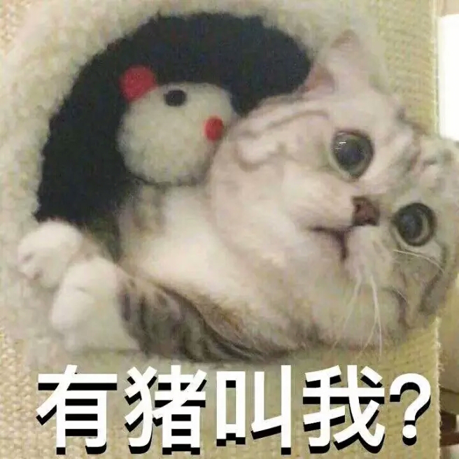 小可爱,猫咪表情包要么?⑤