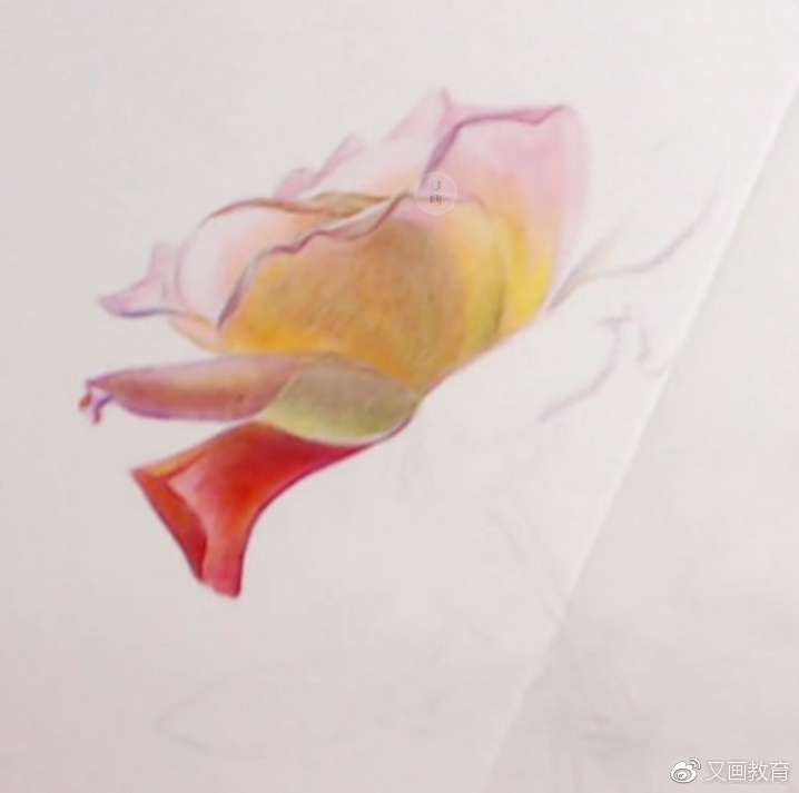 彩铅| 玫瑰花玻璃杯插花