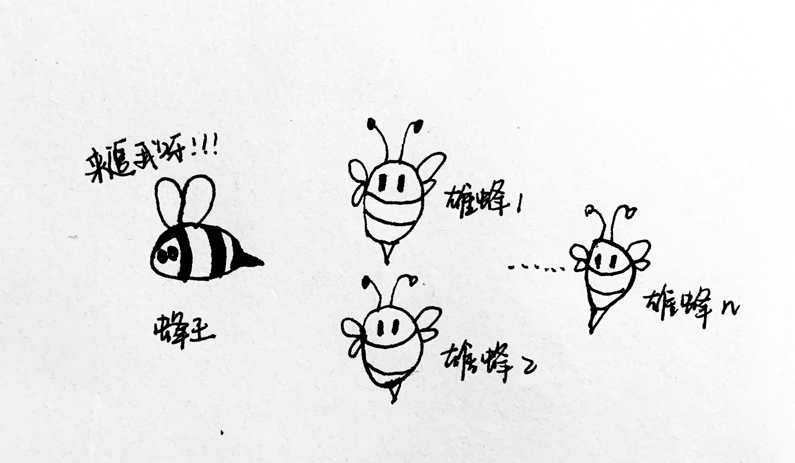 蜜蜂大家庭