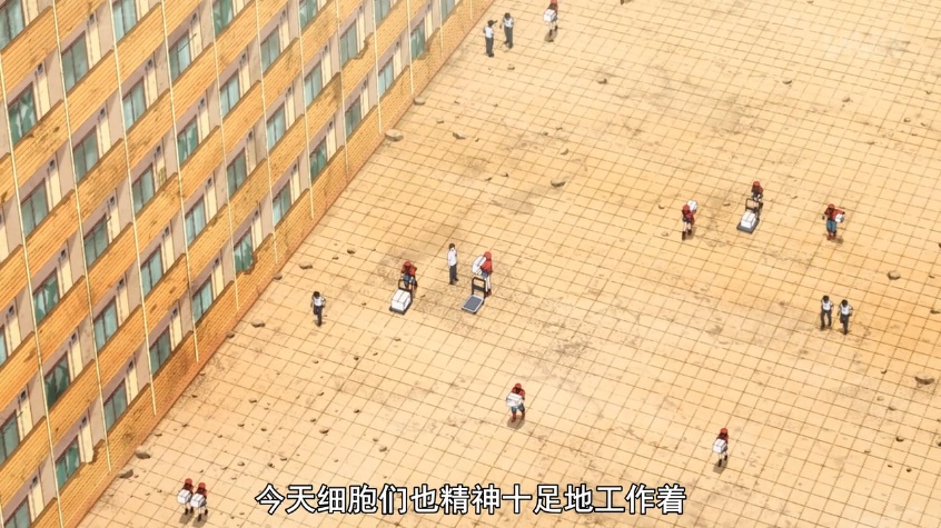 《工作细胞》:生命自身的史诗