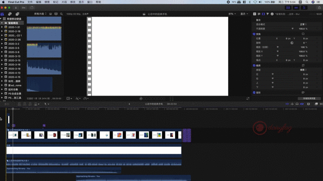 最快免费加字幕方法!视频后期党福音 pr/fcpx通用
